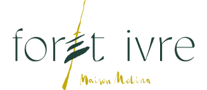 FORET IVRE